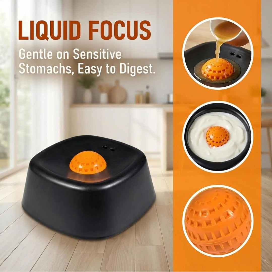 Premium Bowl for Canine Health & Happiness