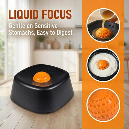 Premium Bowl for Canine Health & Happiness