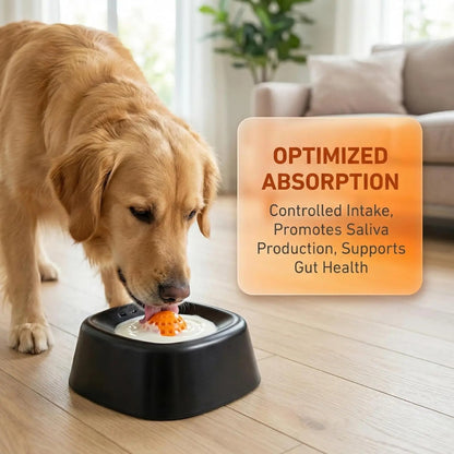 Premium Bowl for Canine Health & Happiness