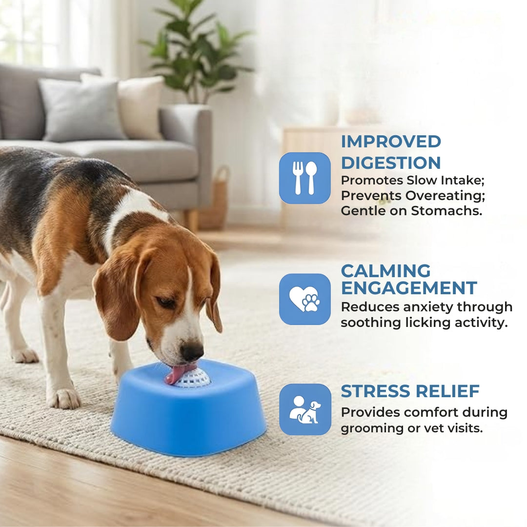 Premium Bowl for Canine Health & Happiness