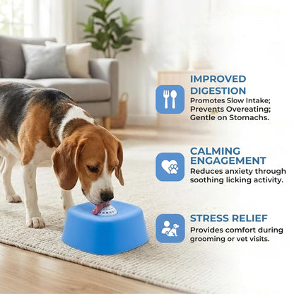 Premium Bowl for Canine Health & Happiness