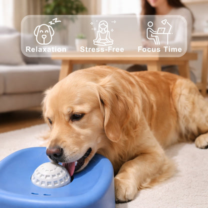 Premium Bowl for Canine Health & Happiness