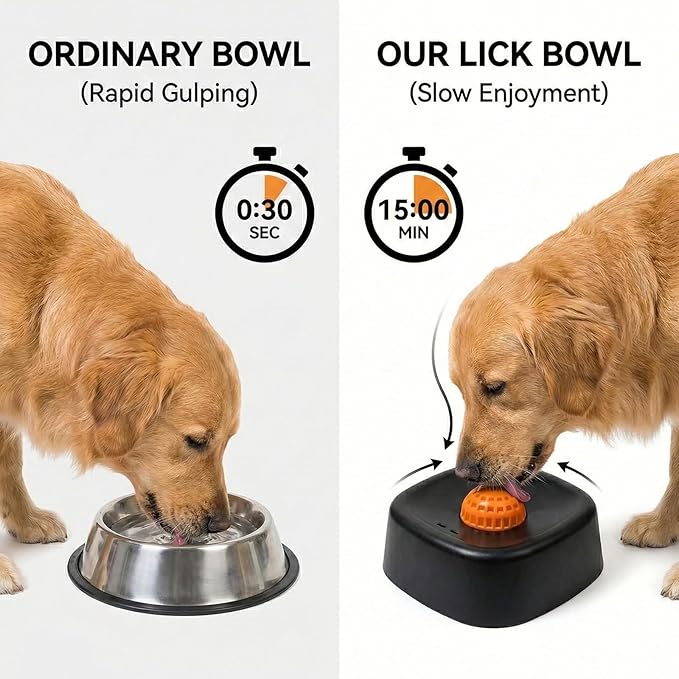 Premium Bowl for Canine Health & Happiness
