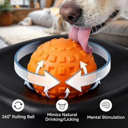 Premium Bowl for Canine Health & Happiness