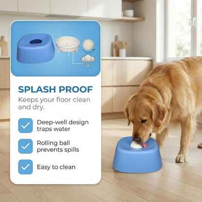 Premium Bowl for Canine Health & Happiness