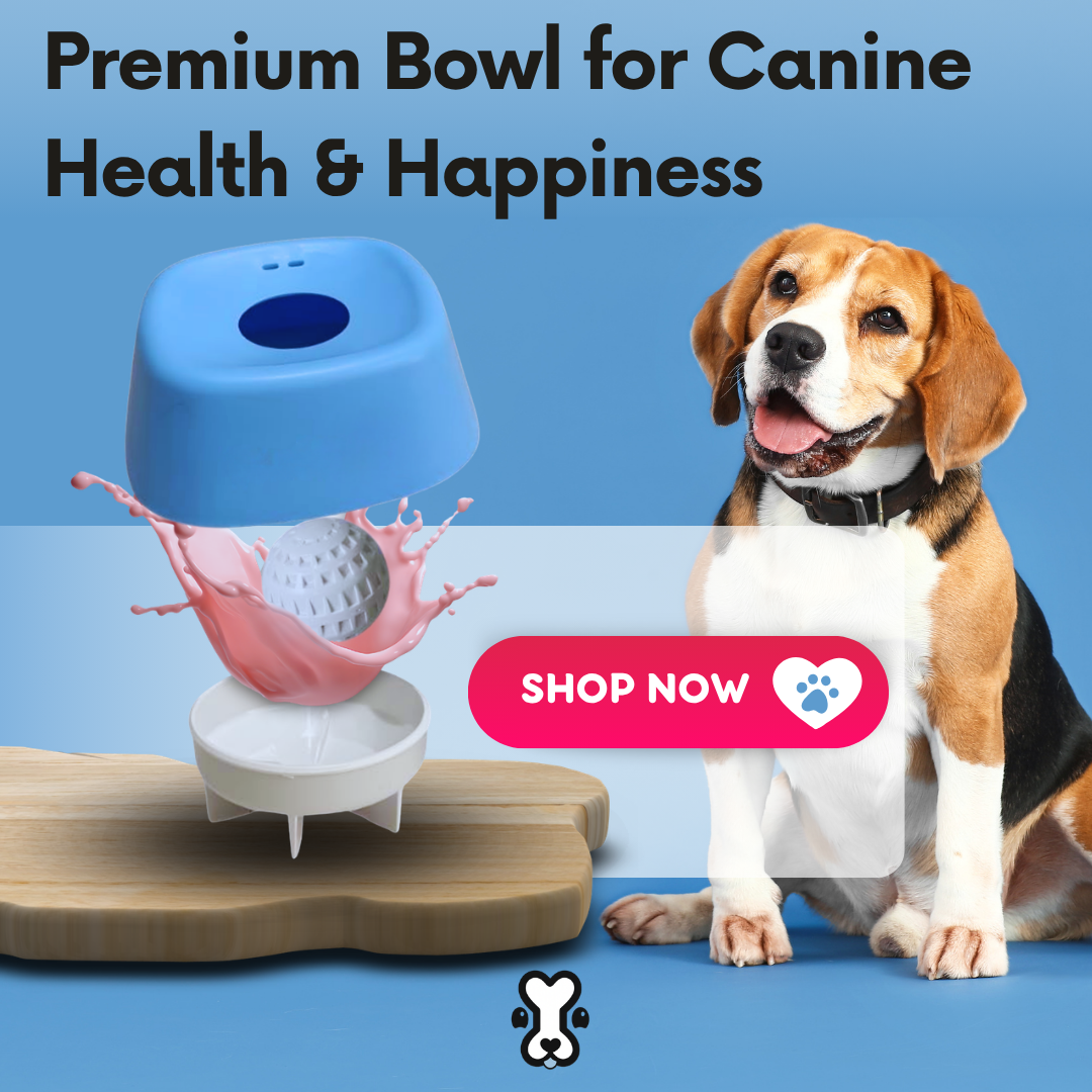 Premium Bowl for Canine Health & Happiness
